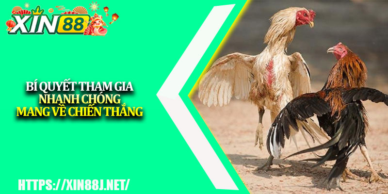 Đá Gà Bồ Trực Tuyến – Trải Nghiệm Cá Cược Đỉnh Cao XIN88 4 Bí quyết tham gia nhanh chóng mang về chiến thắng