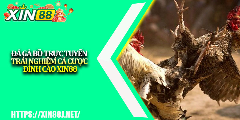 Đá Gà Bồ Trực Tuyến – Trải Nghiệm Cá Cược Đỉnh Cao XIN88 1 Da Ga Bo Truc Tuyen – Trai Nghiem Ca Cuoc Dinh Cao XIN88