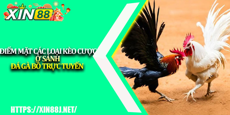 Đá Gà Bồ Trực Tuyến – Trải Nghiệm Cá Cược Đỉnh Cao XIN88 3 Điểm mặt các loại kèo cược ở sảnh đá gà bồ trực tuyến