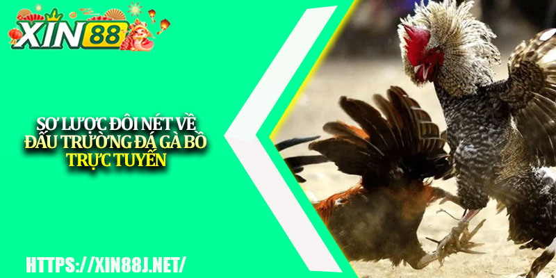Đá Gà Bồ Trực Tuyến – Trải Nghiệm Cá Cược Đỉnh Cao XIN88 2 Sơ lược đôi nét về đấu trường đá gà bồ trực tuyến